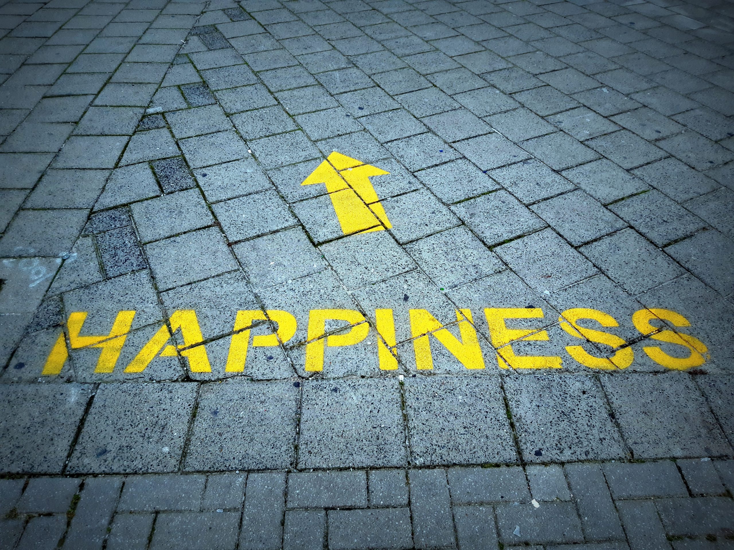 Kebahagiaan: Tujuan Hidup atau Proses dalam Hidup?